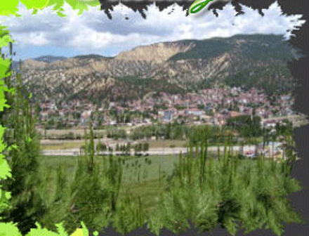 Re�adiye